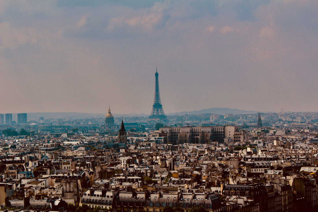 Punaises de lit à Paris : la situation est-elle alarmante ?